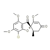 Fulvicin-P/G