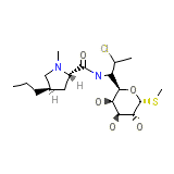 Chlolincocin