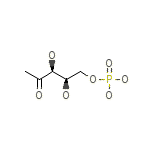 1-Deoxy-D-Xylulose-5-Phosphate