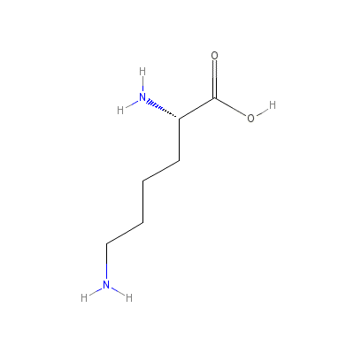 2,6-diaminohexanoic_acid