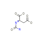 N-Carbamoyl-L-Aspartate