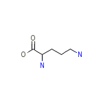 2,5-Diaminopentanoate