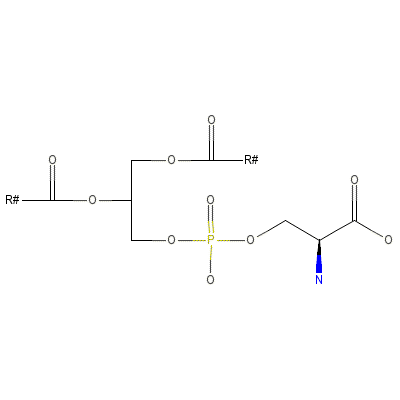 1,2-Diacyl-sn-glycerol_3-phospho-L-serine