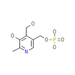 Pyridoxine-5'-Phosphate