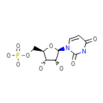 Uridine-5'-Monophosphate